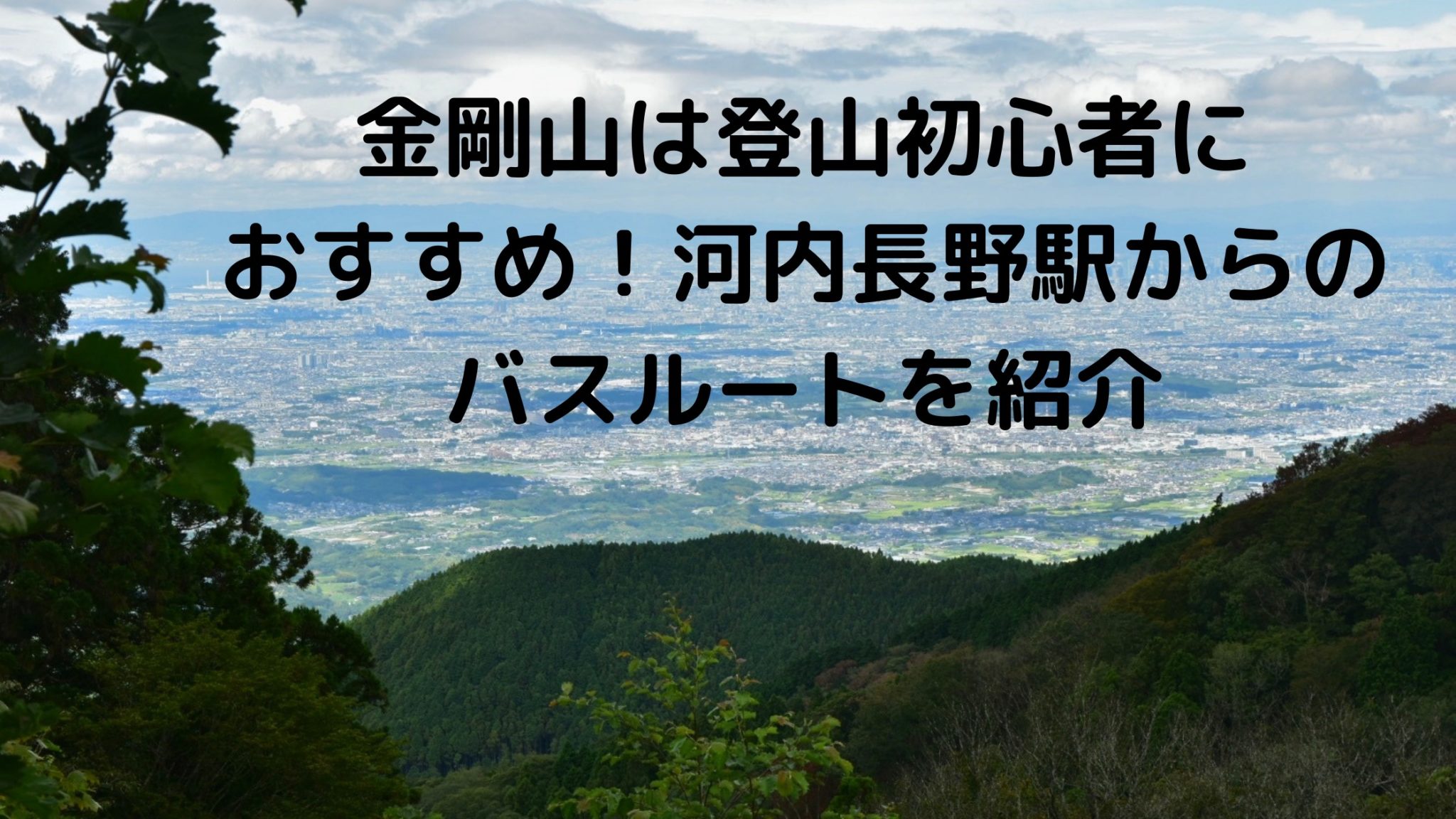 金剛山は登山初心者におすすめ！河内長野駅からのバスルートを紹介｜黄昏ほーむblog
